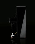 C.Bechstein Concert 8